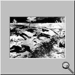 Hellenes massacred by the Turks.