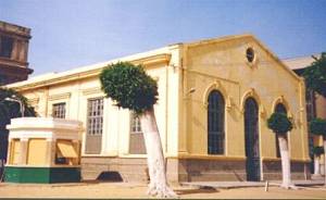 The Gymnasium